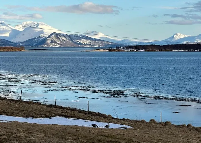 Hakoya Apartment, Adskilt I Hus, Egen Inngang * Tromsø